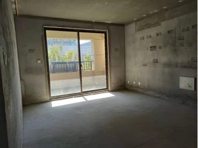 高郵東區(qū)實(shí)小對(duì)面 尚文苑電梯洋房大平層，毛坯四房雙衛(wèi)四陽(yáng)臺(tái)
