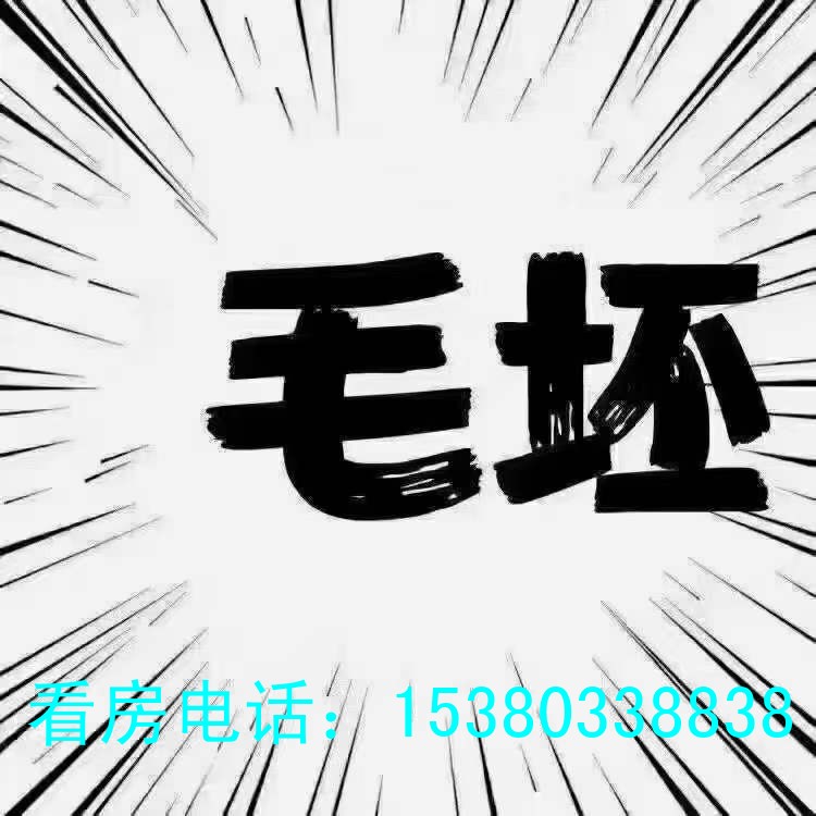 高郵蘇大實小旁 高郵綠地萬和城，電梯毛坯四房雙衛(wèi)