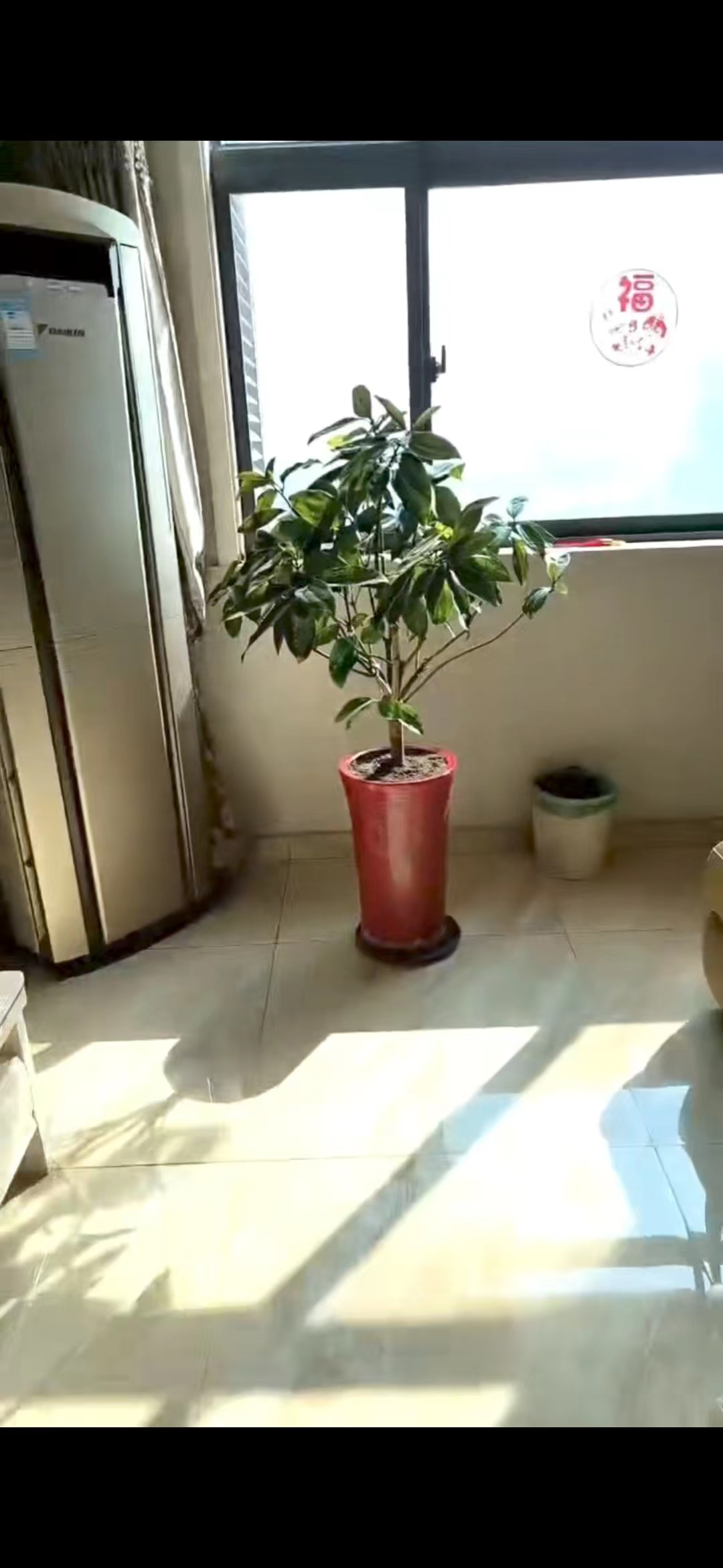 高郵世貿(mào)附近 翡翠園 電梯精裝兩房，陽(yáng)光好，拎包入住