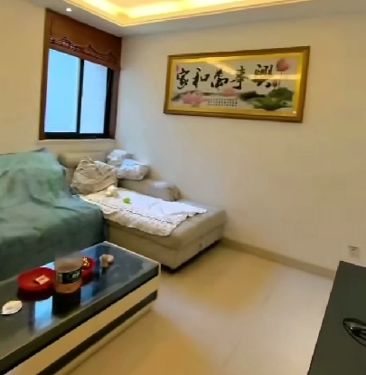 急售！高郵世貿(mào)附近，怡嘉天下B區(qū)電梯精裝三房，拎包入住